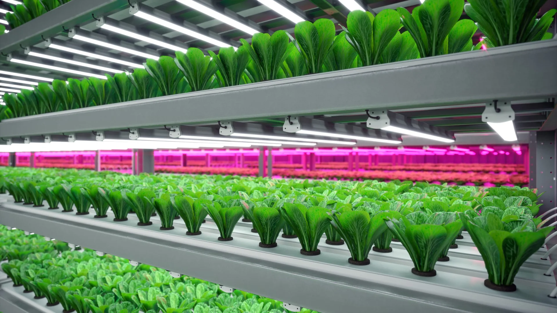 Fertilizers and Agrochemical Solutions